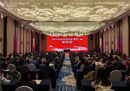 荣耀时刻!LEwin乐玩微电荣膺西安民营企业100强