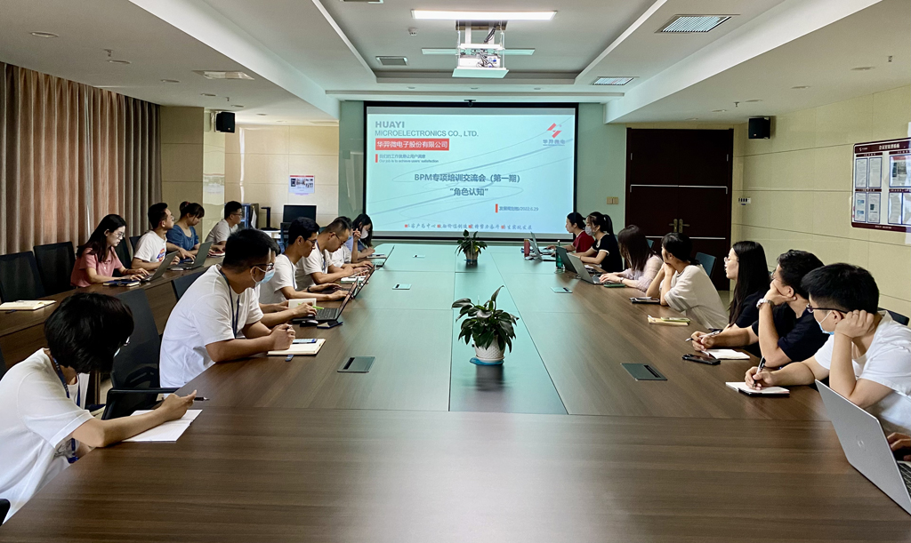 LEwin乐玩微电召开首期BPM专项培训交流会
